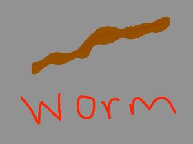 Worm