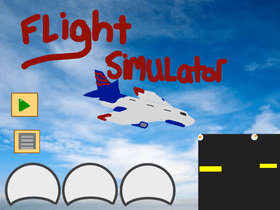 Flight Simulator 1