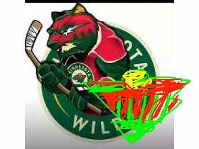 minnesota wild  1