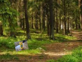 ester chicken in the woods