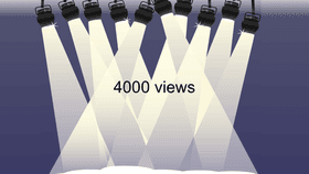 4000 views