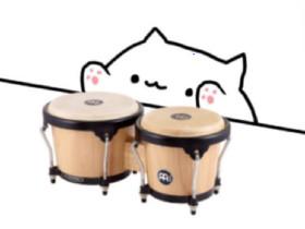 Bongo Cat Meme 1