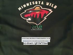 Minnesota wild