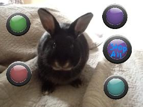 Olive the rabbit: music!©™ 1