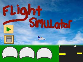 Flight Simulator  1