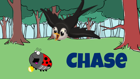 Chase