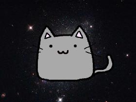 space kitty