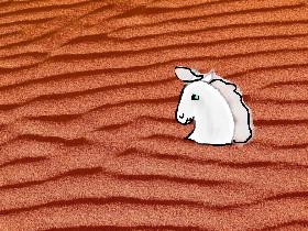 white pony