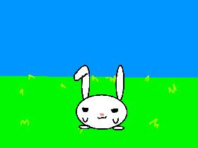 Jumping bunny