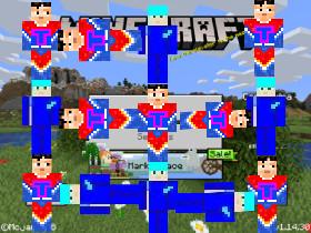 Minecraft project five