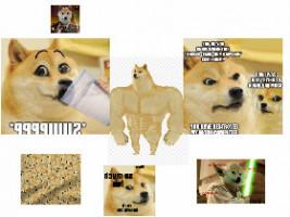 Doge memes