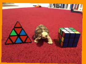 Tech Geek’s rubix cubes 1