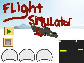 Flight Simulator 1 1