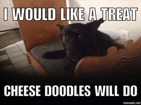 DoG MEmeS