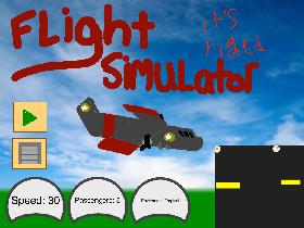 Flight Simulator  1