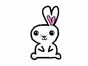 Learn To Draw a cute rabbit