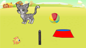 Play with a cat