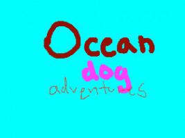 ocean dog adventures