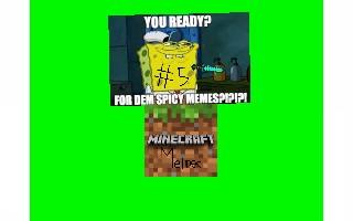 Minecraft Memes 5