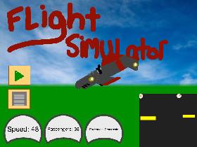 air plane sim 1 1