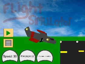 plane simulator 1