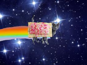 Real nyan cat 1