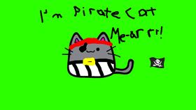 pirate cat