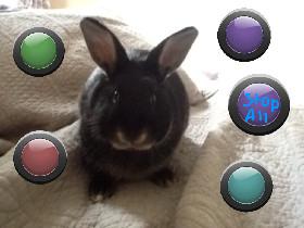 Olive the rabbit: music!©™ 1