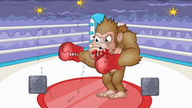 Boxing Match