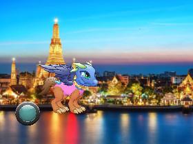 dragon watch in thailand