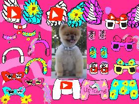 Dress Up Jiff Pom!