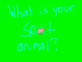 Whats your spirit animal?
