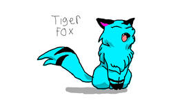 Tiger fox