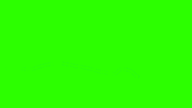 Green Screen