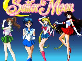 sailor moon  🌸