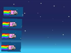 nyan cat race