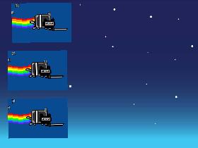 ninga nyan cat race