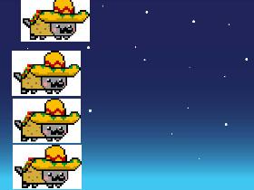 mexico nyan cat race