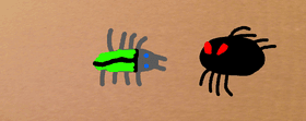 The beetle and the Spider