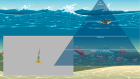 Ocean Ecological Pyramid