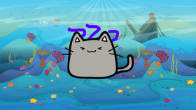 cat under the sea