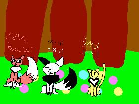 my costom warrior cats