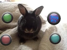Olive the rabbit: music!©™ 1 1