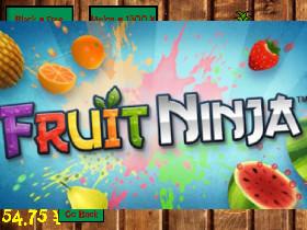 Fruit Ninja  1