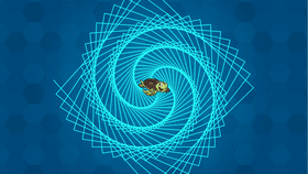 Sea Turtle Spiral