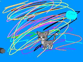 cat lazer