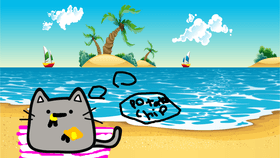 Meow's day at the beach