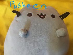 pusheen the cat