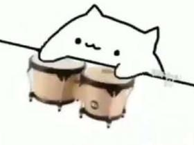 Bongo Cat Meme