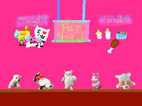 Pet shop!